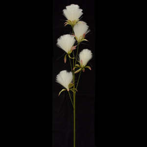 Decor Box Lot Deals Copy: Bottle Brush Dandelions - Cream White - Box Lot Deal (6)
