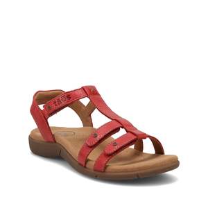 Taos: Taos Trophy - Red