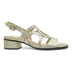 Bresley Dani - Gold Snake