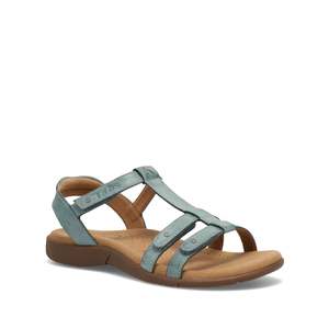 Taos Trophy - Teal