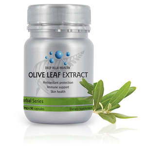 Immune System: OLIVE LEAF 24000