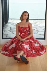 Trelise Copper: Trelise Cooper The Dream Seam Dress