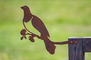 Birds: The Wood Pigeon