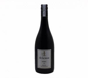 All wines: Barbera 2019