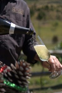 “Bubbles for Christmas and New Year” – Christmas 2025 Six-Pack Special