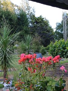 “Terrace Wines” – Christmas 2025 Six-Pack Special