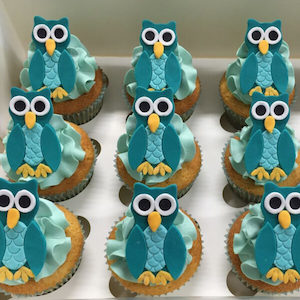 Products: Owl Themed Cupcakes Delish Cupcakes
