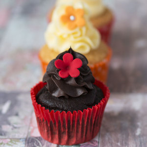 Gluten-Free & Vegan Cupcakes Auckland Fresh Daily Bakes