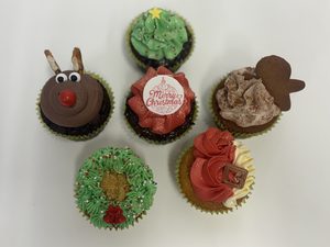 Christmas Gift Box Delish Cupcakes