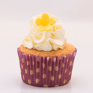 Products: Lemme Pash Cupcakes Delish Cupcakes