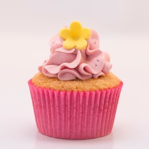 Products: Little Tart Cupcakes Delish Cupcakes