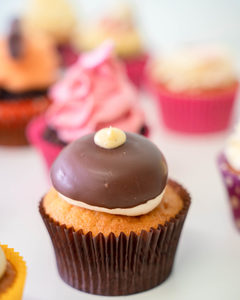 Products: Boston Gnome Cupcakes Delish Cupcakes
