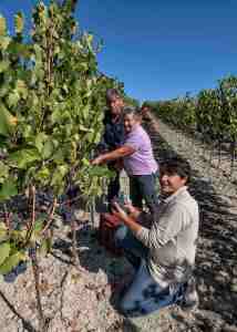 2020 Martoccia Toscana Luca IGT