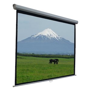 Manual Pull Down Projector Screen 100" 2.21 X 1.25m 16:9 Wide Screen