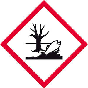 DG Self-Adhesive Label Eco Toxic, 240 x 240mm