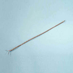 Thermocouple Simple Copper/Constantan 200mm Length