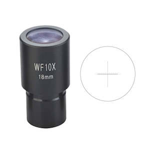 Microscopes: Eyepiece Reticle – WF10X/18 mm, 1 mm Divided into 100 Divisions