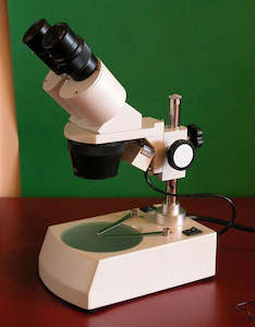 Microscopes: Microscope Stereoscopic 2L Epi / Dia