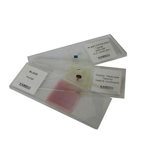 MICROSCOPE SLIDE SET ANIMALTISSUES THE NERVOUS SYSTEM - 10 SLIDES