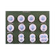 Meiosis Animal Model