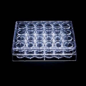 Tissue Culture Plates 24 Well