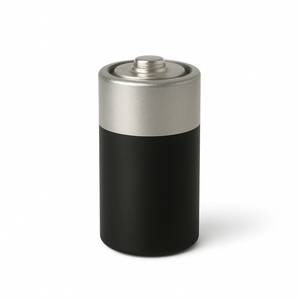 Alkaline Battery D Size – High‑Power Energy for Heavy‑Duty Devices