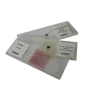 Microscope Slide – Human Chromosomes (Male Karyotype)