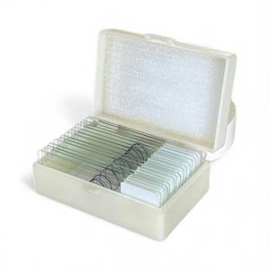 Microscope Slide – Bacteria Set (15 Slides)