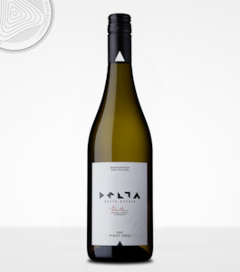 Delta: Delta Pinot Gris 2022 - Six pack