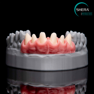 SHERAprint-gingiva, pink, 500g