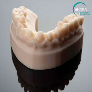 3D Printing: SHERAprint-model 2.0, desert, 1000g