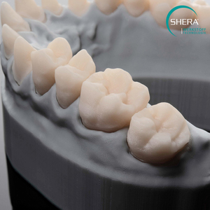 3D Printing: SHERAprint-model 2.0, stone, 1000g