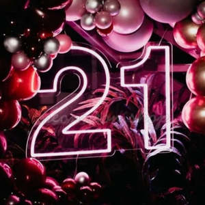Numbered Led Lights: 21 Neon Light