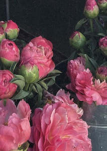 Vouchers Cards: Peony Card 5