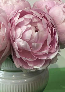 Vouchers Cards: Peony Card 1