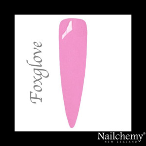 FOXGLOVE - FAERIE GARDEN