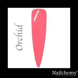 ORCHID - FAERIE GARDEN