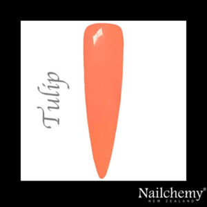 TULIP - FAERIE GARDEN