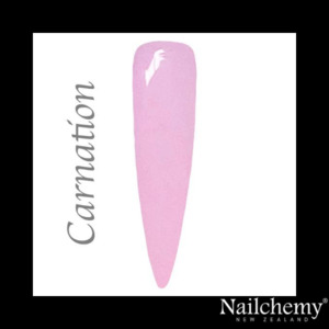 CARNATION - FAERIE GARDEN