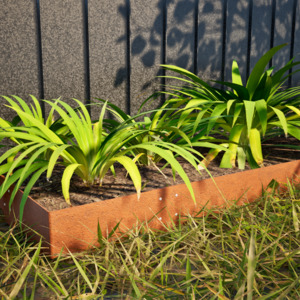 100 mm High. Corten Steel Garden Edging 3.00 mm Thick