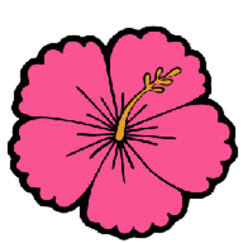 Acrylic Blanks Shapes: Acrylic - Hibiscus