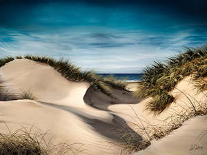 Sanddune Shadows - Canvas Print