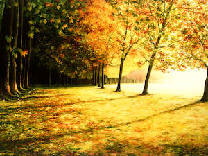 36x48 Canvas Prints: Morning Mists - Canvas Print