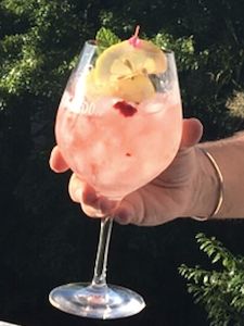Drinks: Pink Gin and Tonic
