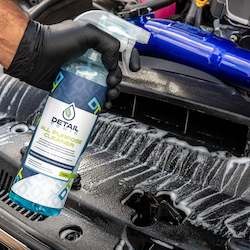 Interior Detailing: Detail Tonic All Purpose Cleaner
