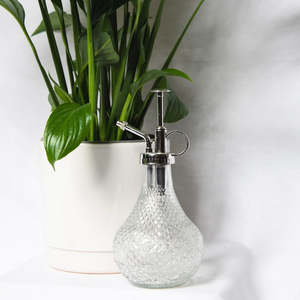 House Plant with Pot & Water Spritzer