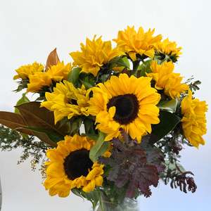 Sunflowers