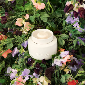Gifts: ECOYA Electric Wax Melter