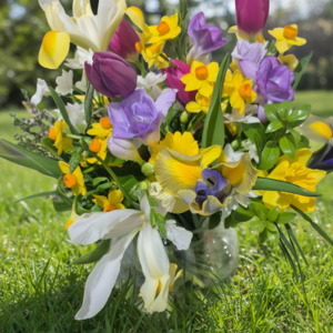 Flowers: Spring in Your Step
