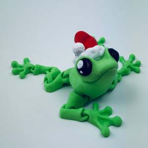 Santa Frog